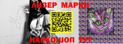 прущие грибы Краснокаменск