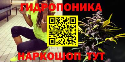 прущие грибы Краснокаменск