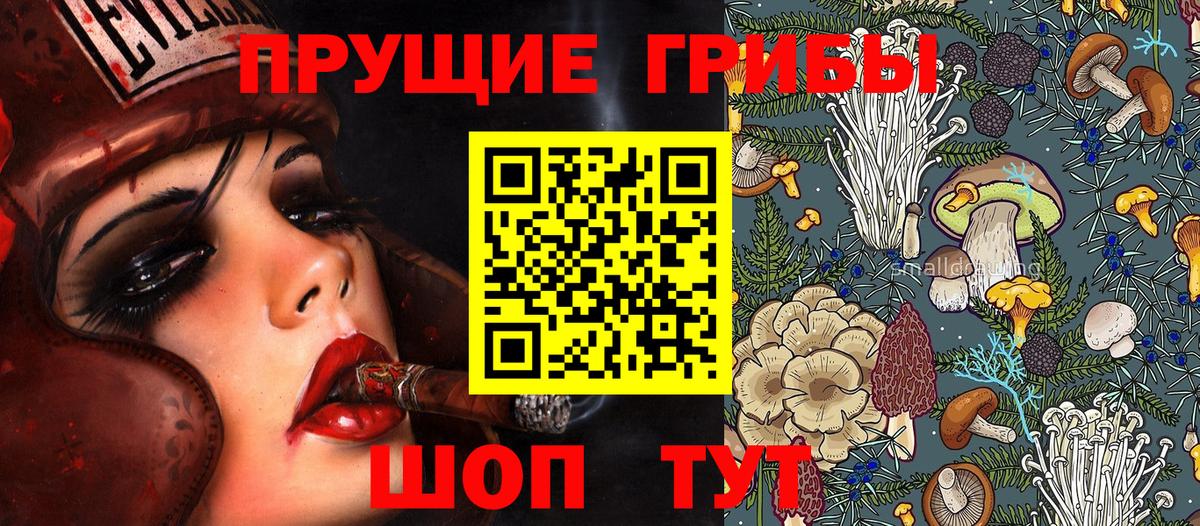 купить  цена  Галлюциногенные грибы прущие грибы  Псилоцибиновые грибы Cubensis  Вход с VPN  Комсомольск-на-Амуре 